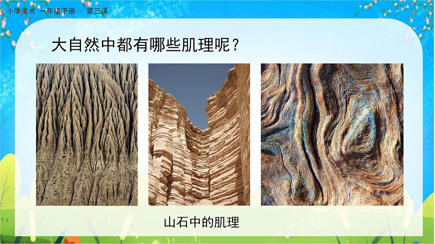 美術人教版一年級下冊 第三課《大地的肌理》課件第6頁