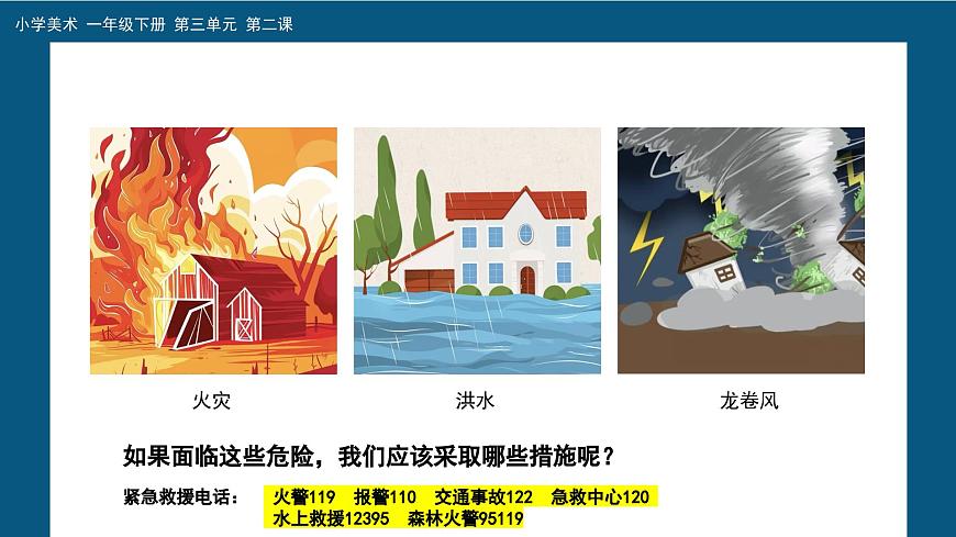 美術(shù)人教版一年級下冊 第二課《守護(hù)生命》課件第8頁