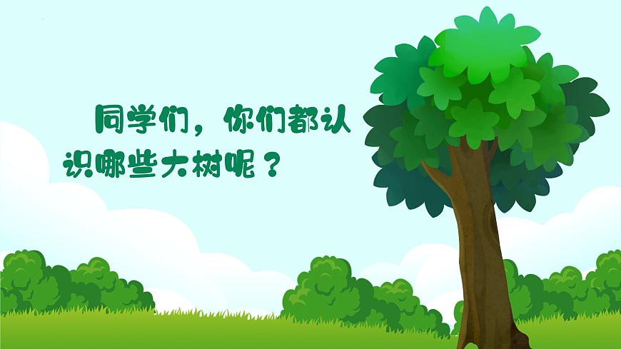 1.1 大樹的模樣第2頁