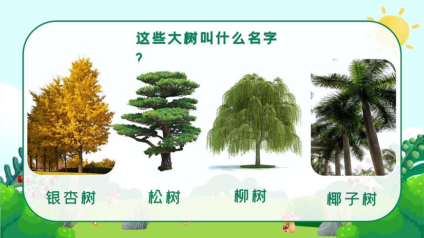 1.1 大樹的模樣第5頁