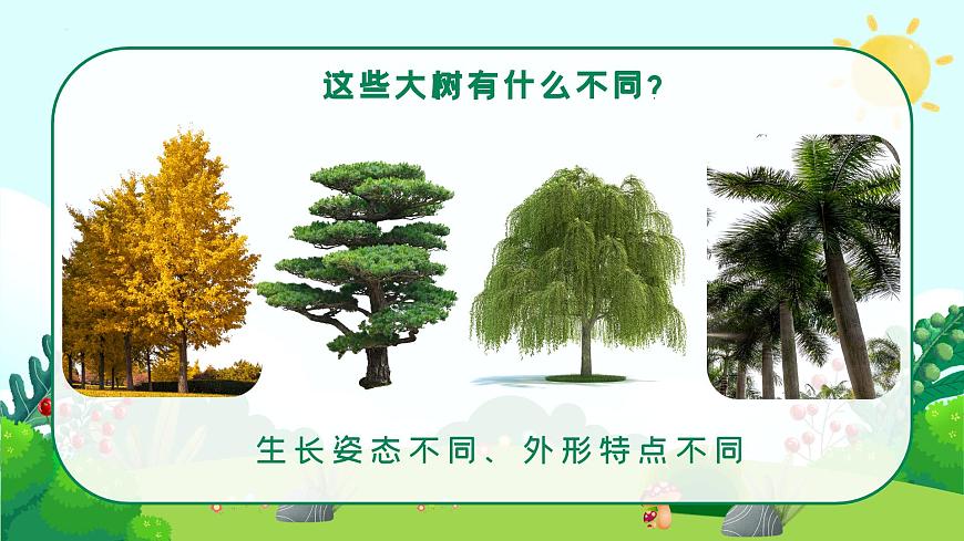 1.1 大樹的模樣第6頁