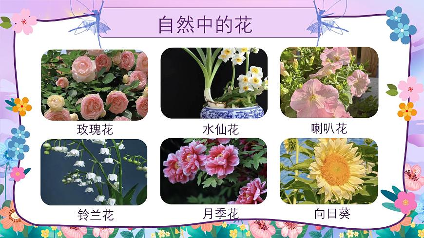 1.2 花朵之美第7頁(yè)