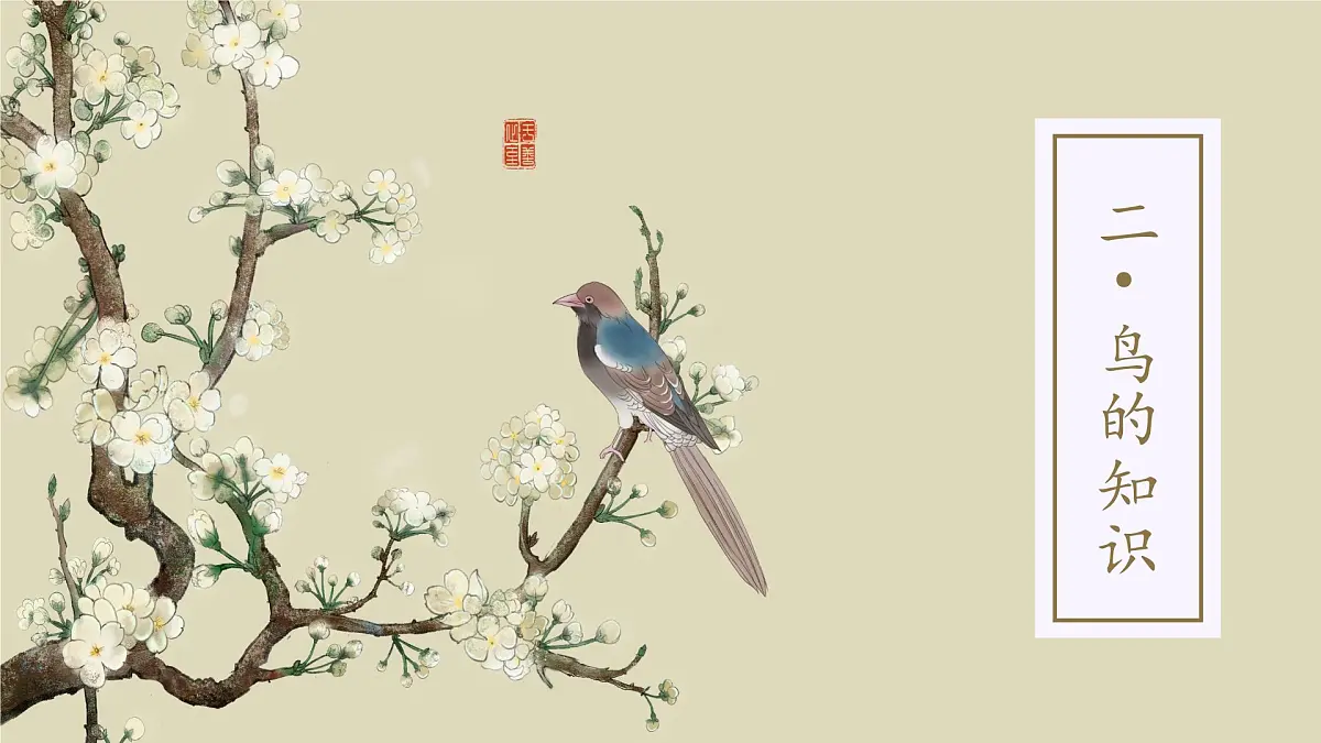 一3.可爱的小鸟第5页