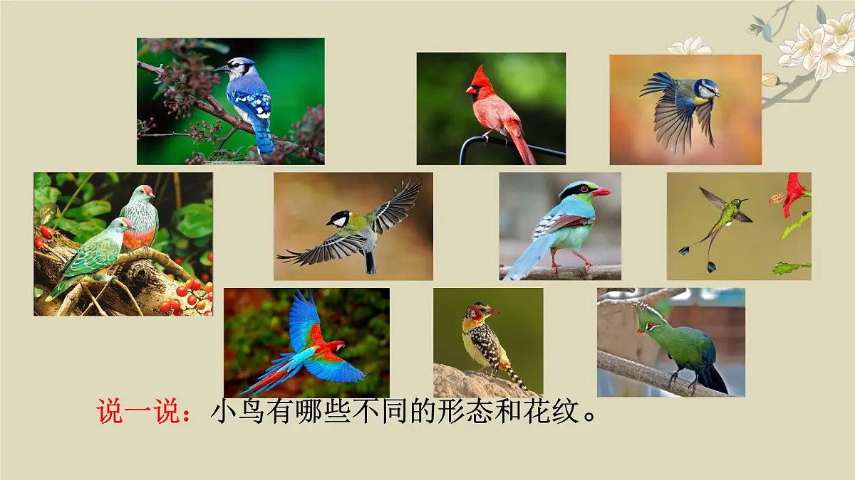 一3.可爱的小鸟第6页