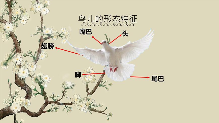 一3.可愛的小鳥第7頁(yè)