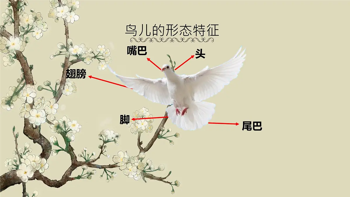 一3.可爱的小鸟第7页