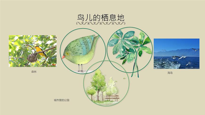 一3.可愛的小鳥第8頁(yè)