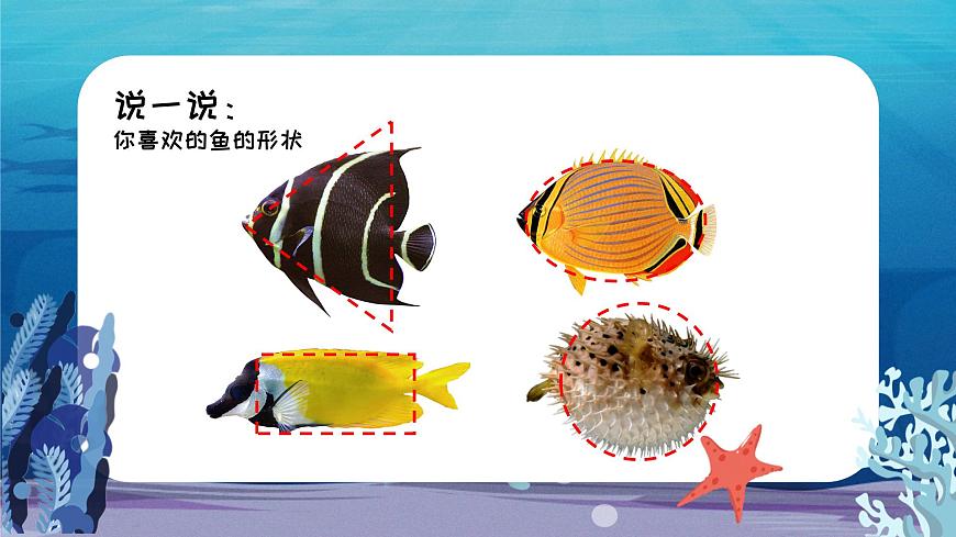 1.4 對稱的魚形第5頁