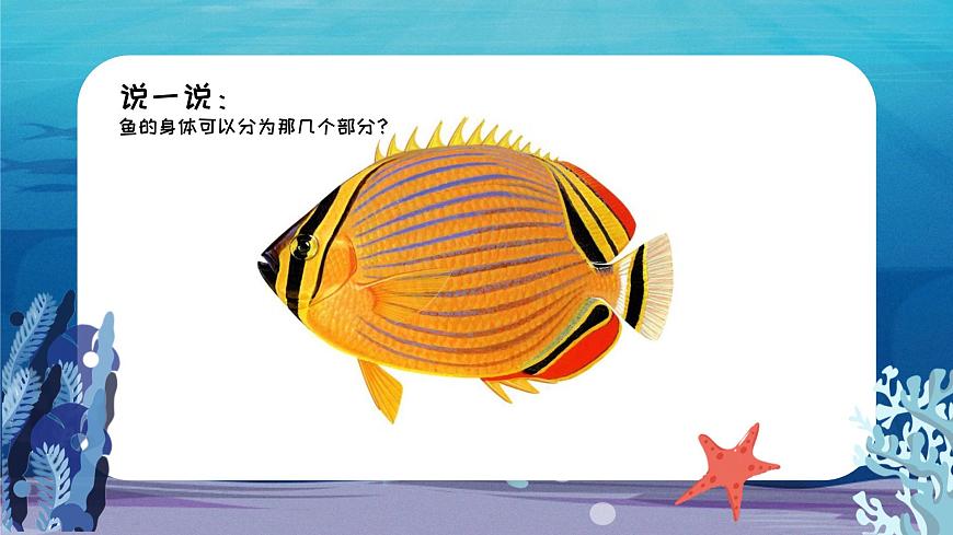 1.4 對稱的魚形第6頁