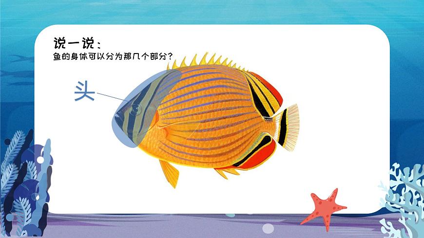 1.4 對稱的魚形第7頁
