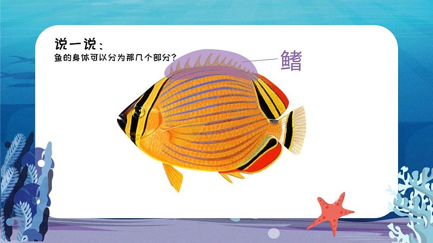 1.4 對稱的魚形第8頁