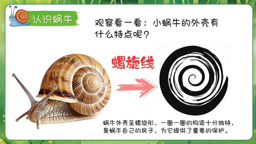 小蝸牛慢慢爬第6頁