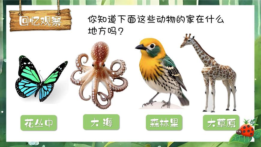 動物回家第3頁