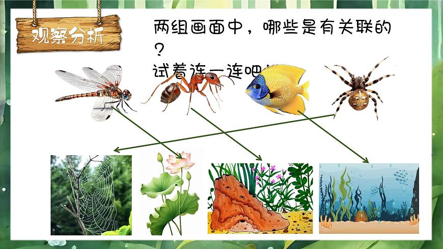動物回家第5頁