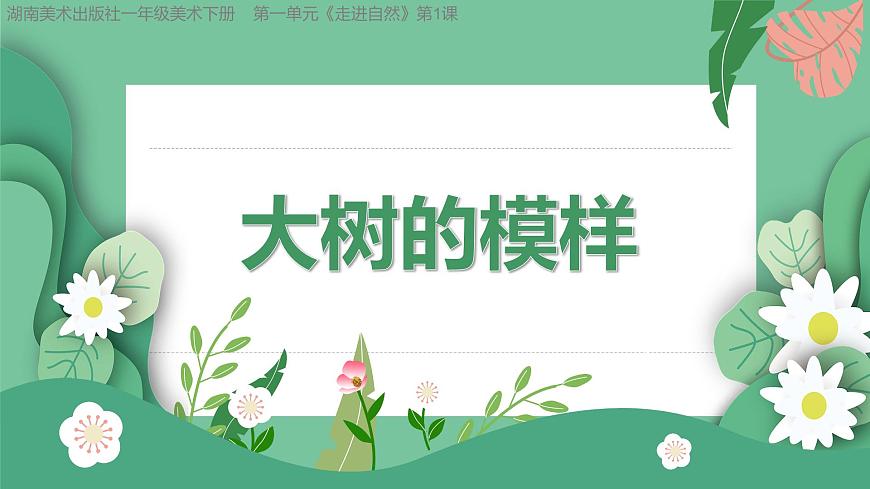 1.1大樹(shù)的模樣第1頁(yè)