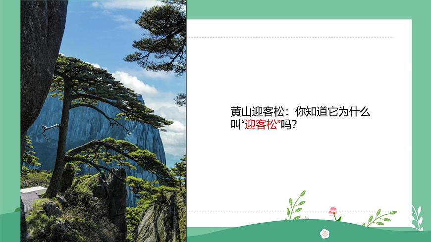 1.1大樹(shù)的模樣第3頁(yè)