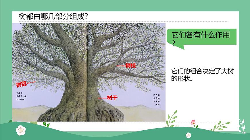 1.1大樹(shù)的模樣第6頁(yè)