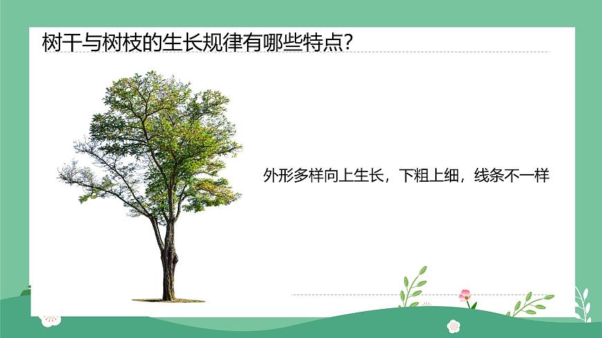 1.1大樹(shù)的模樣第8頁(yè)