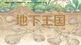 2024-2025學(xué)年湘美版美術(shù)一年級下冊3.4《地下王國》課件+素材
