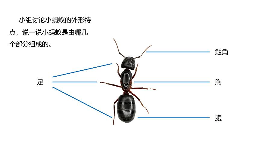 3.4地下王國第2頁