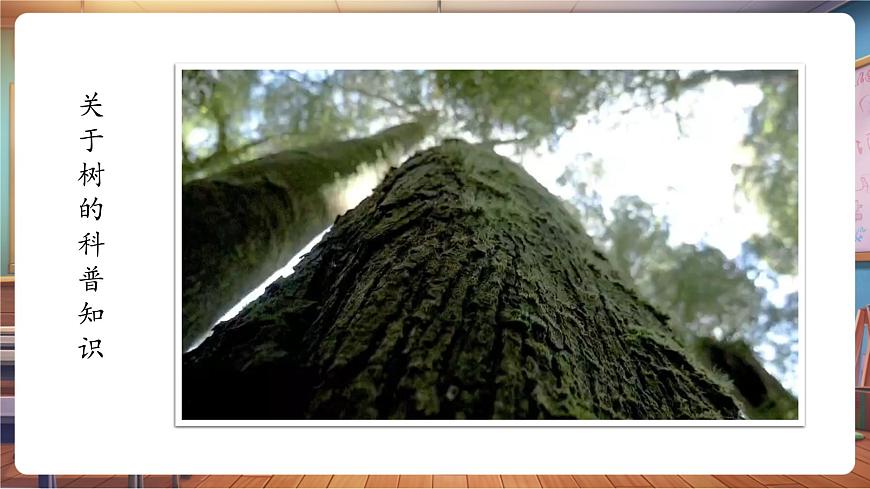 嶺南版（新教材）一下 第一單元第5課《陽(yáng)光下成長(zhǎng)》課件（22頁(yè) 內(nèi)嵌視頻）第4頁(yè)