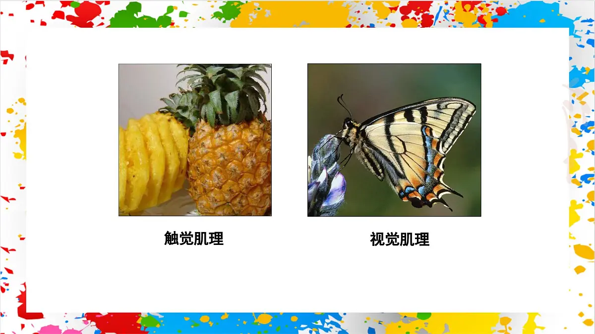 苏少版美术一年级下册《有趣的肌理》 (课件)第5页