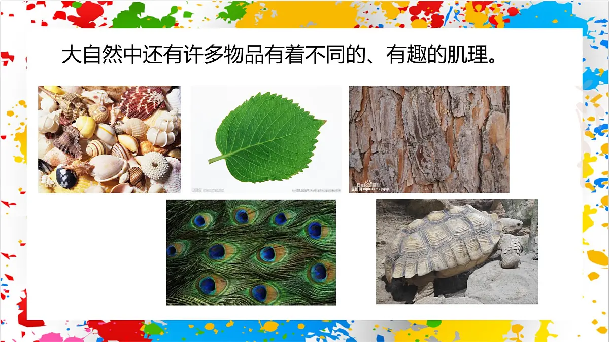 苏少版美术一年级下册《有趣的肌理》 (课件)第7页