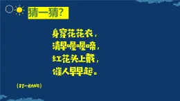 人美版小學(xué)美術(shù)四年級下冊第14課《艷麗的大公雞》課件