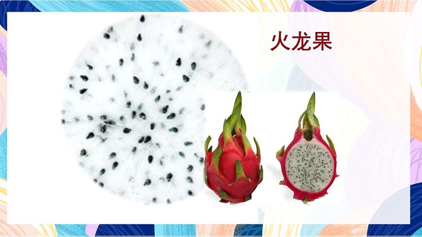 人教版美術四上 第3課《蔬果的剖面》課件第2頁