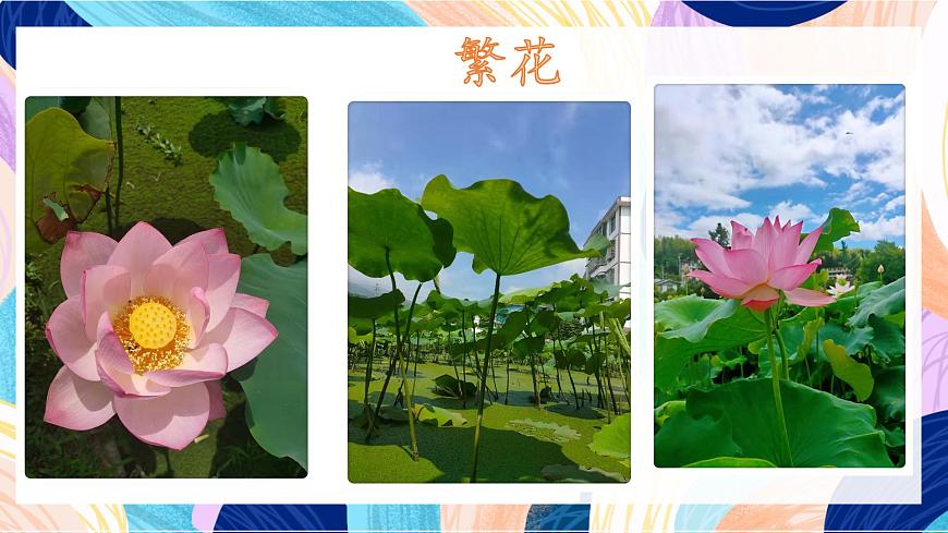 人美版五年級上冊第9課《創(chuàng)造綠色的生活》課件第3頁