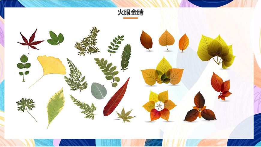 人美版五年級上冊第13課《拼貼添畫》 課件第4頁