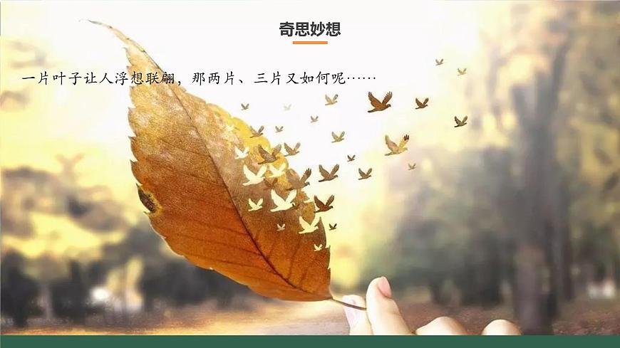 人美版五年級上冊第13課《拼貼添畫》 課件第7頁