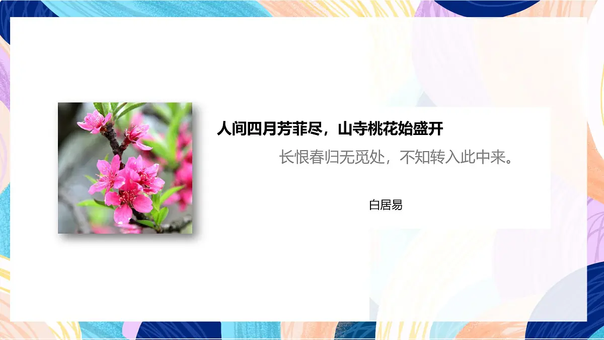 人美版美术六上 第11课《 镜头里的花》课件第2页