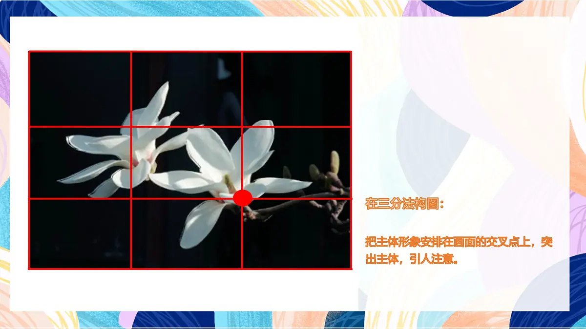 人美版美术六上 第11课《 镜头里的花》课件第7页