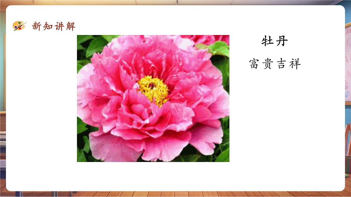 第11课《镜头里的花》课件 28页第5页
