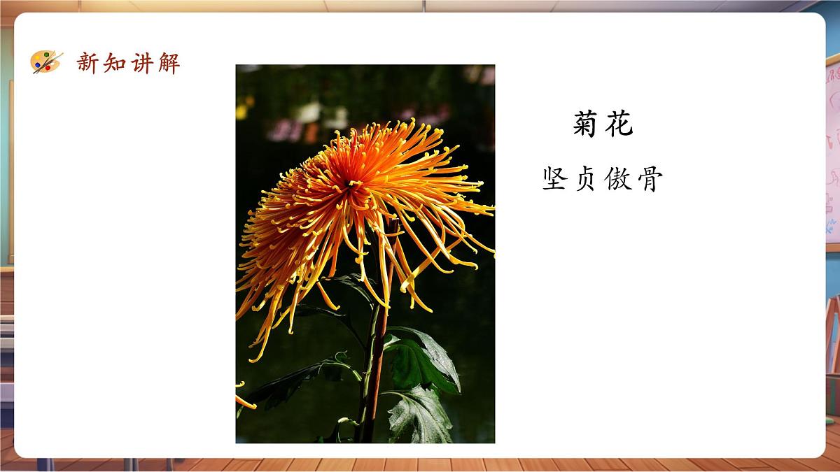 第11课《镜头里的花》课件 28页第7页