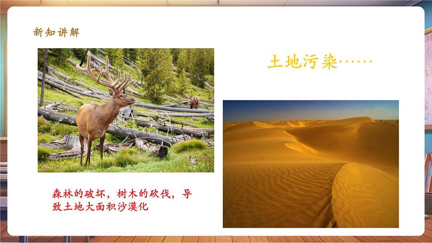 第9課《創(chuàng)造綠色的生活》 課件 (22頁)第8頁