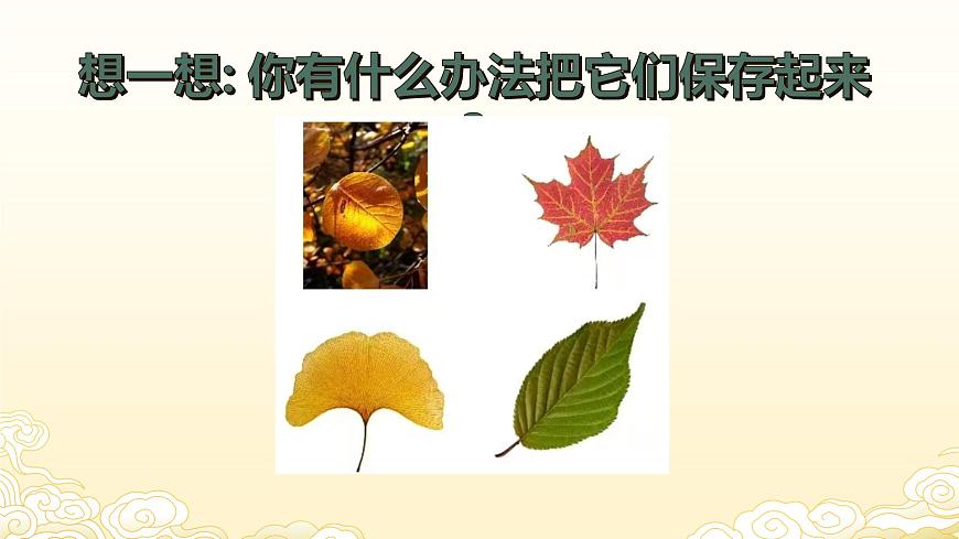 人教版(2024)一年級上冊美術(shù)第六課《落葉去哪兒了》 課件第8頁