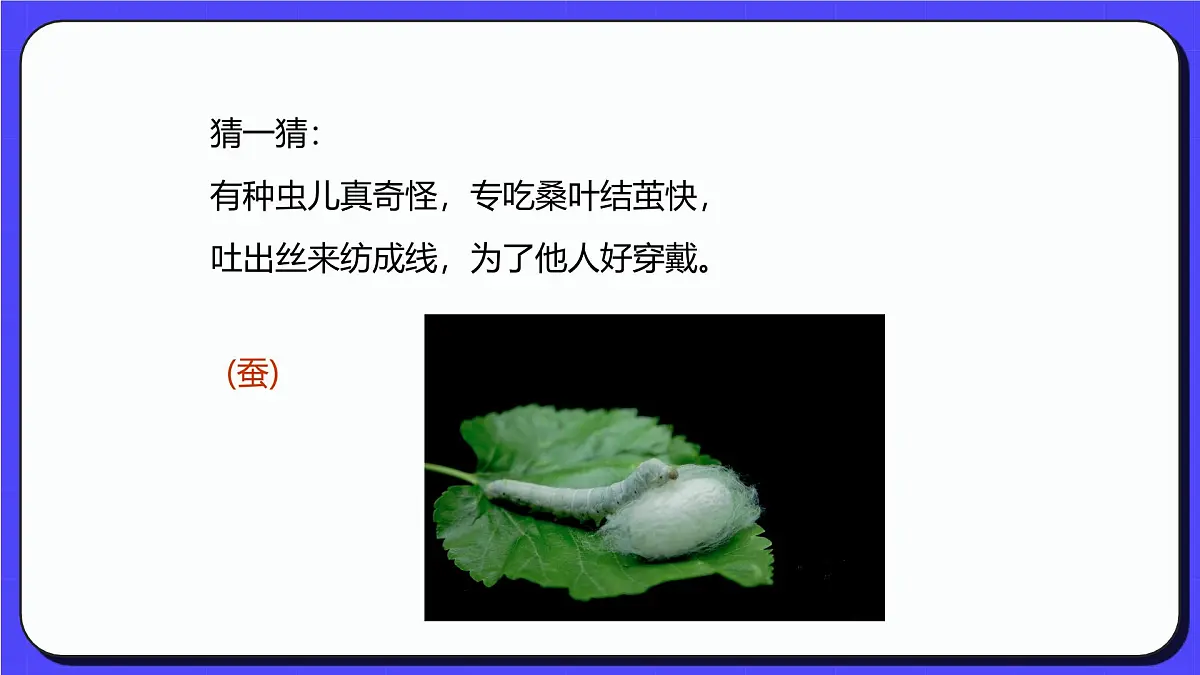 人教版(2024)一年级上册美术第七课 勤劳的茧宝宝 课件第4页