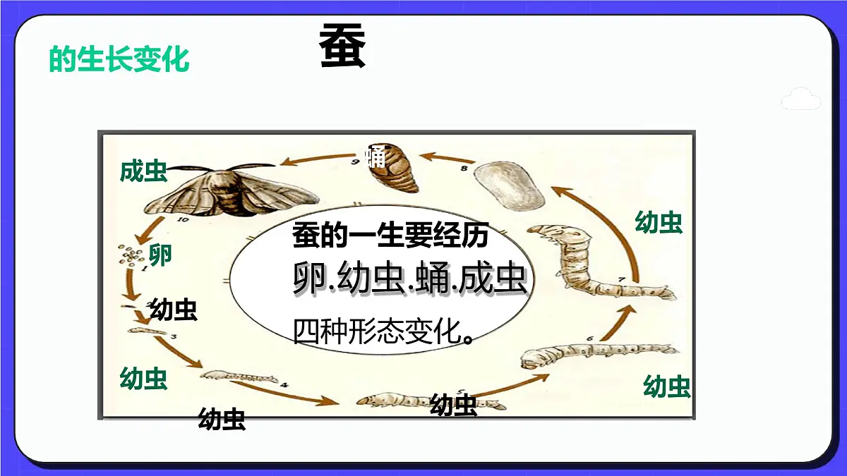 人教版(2024)一年级上册美术第七课 勤劳的茧宝宝 课件第7页