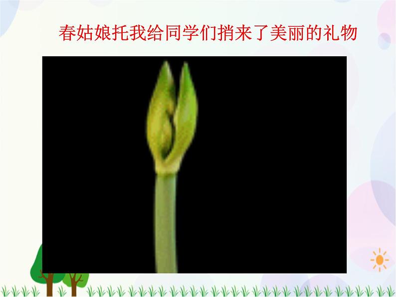 人教版小学美术一年级上册 11.花儿寄深情 同步课件02