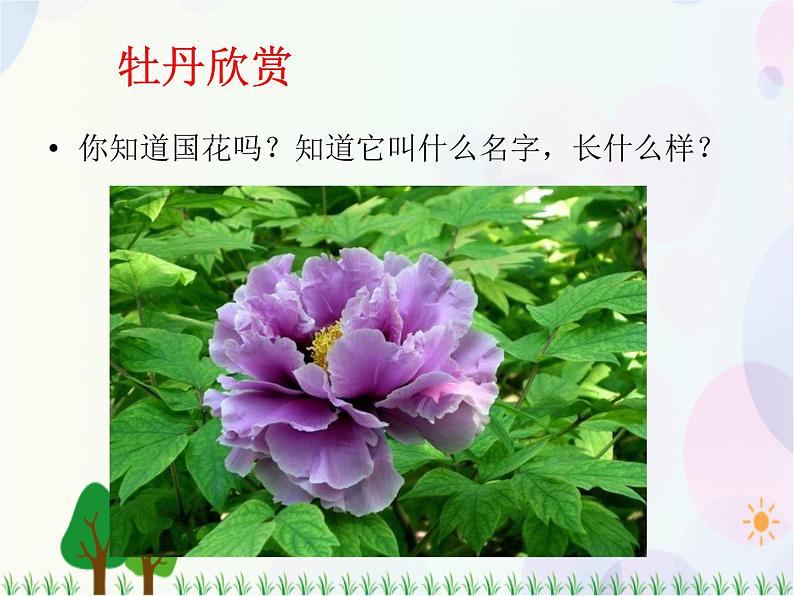 人教版小学美术一年级上册 11.花儿寄深情 同步课件06