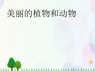 人教版小学美术一年级上册   20.美丽的植物和动物   同步课件