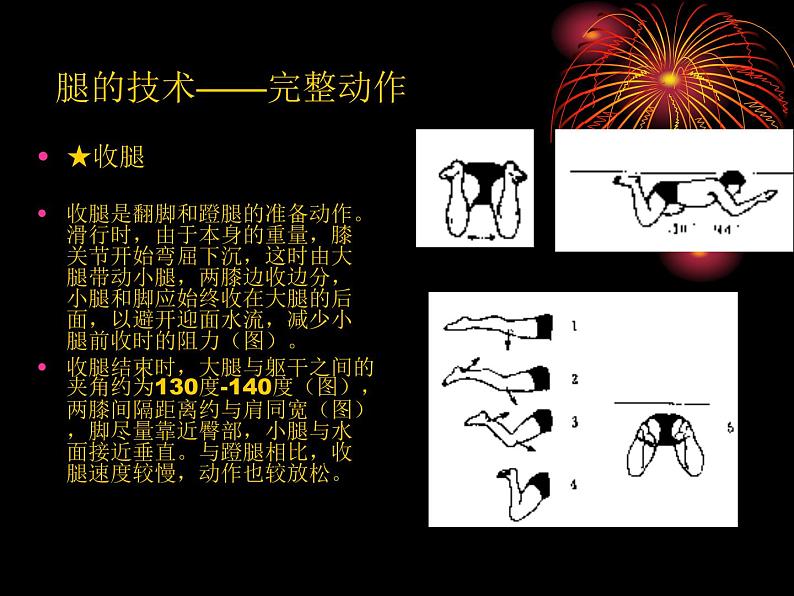 游泳─2. 蛙泳腿部动作(课件) 体育与健康五至六年级 人教版(共13张PPT)第3页