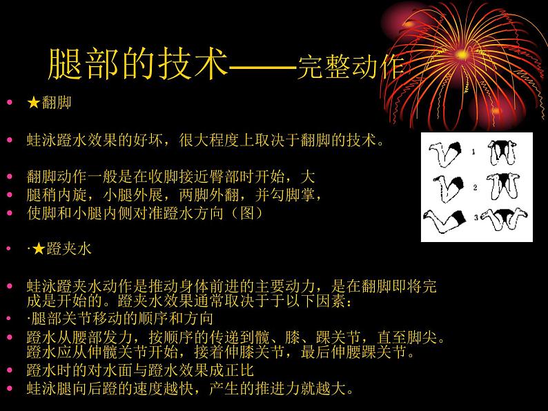 游泳─2. 蛙泳腿部动作(课件) 体育与健康五至六年级 人教版(共13张PPT)第4页