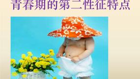 小学体育人教版五至六年级第十二章 五、六年级体育与健康教学经验交流图片课件ppt