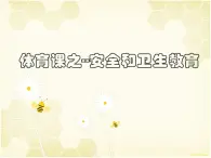 体育与健康人教版1～2年级全一册  3.4 安安全地进行游戏（课件）