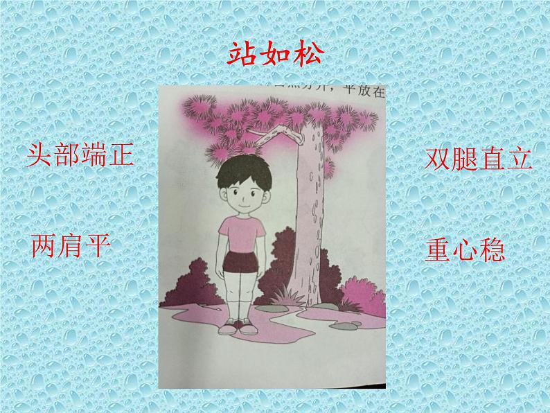 一年级上册体育课件 正确的坐、立、行姿势第3页