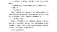 体育一至二年级第四节 跳绳教案设计