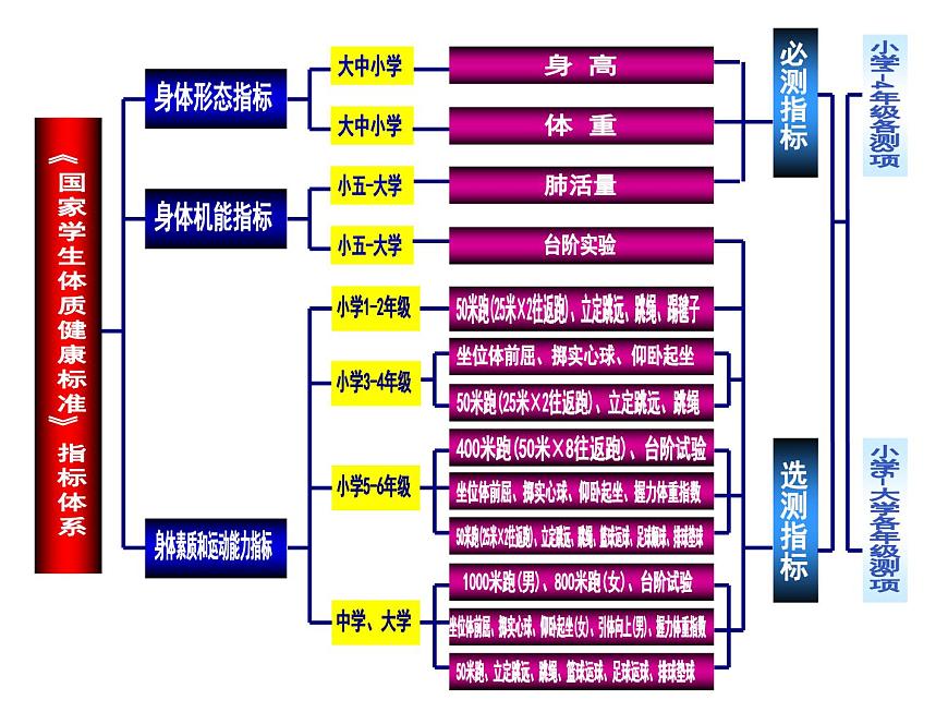 20秋人教版小學(xué)三四年級體育與健康《國家學(xué)生體質(zhì)健康標(biāo)準(zhǔn)的意義和要求》ppt課件1第4頁